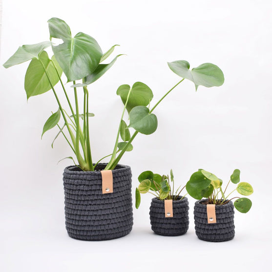 Gehaakte Ribbon Pothoes - Groot
2