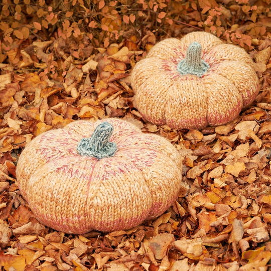Gigantische Pompoenen
