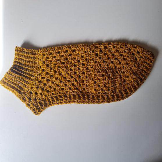 Wally - Hondentrui
5