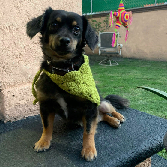 Cuddly Wrap - Bandana voor de Hond
5