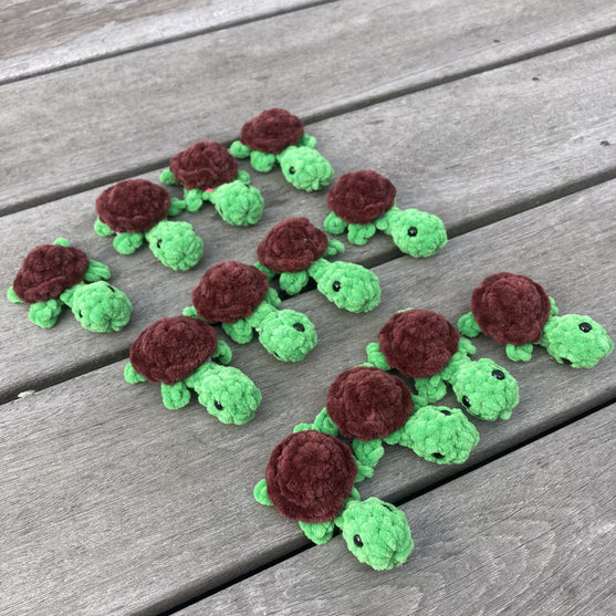 Rainbow Turtles - Memory
12