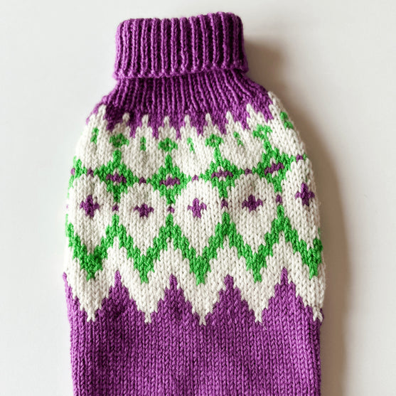 Chihuahua - Hondentrui
5