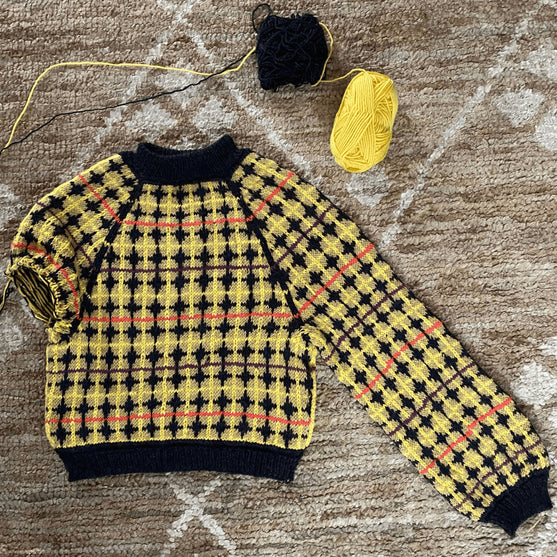 Seven Sisters - Trui
5