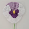 Pansy Flower
3