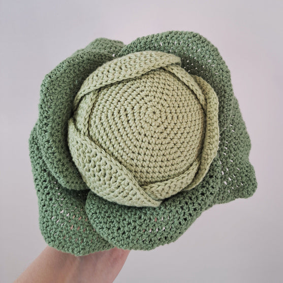 Groenten - Kool, wortels en courgette
3