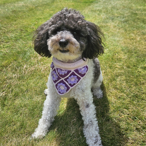 Millie’s - Bandana voor hond
1