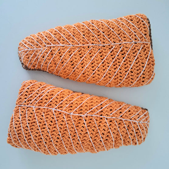 Zalm uit de Oven
2
