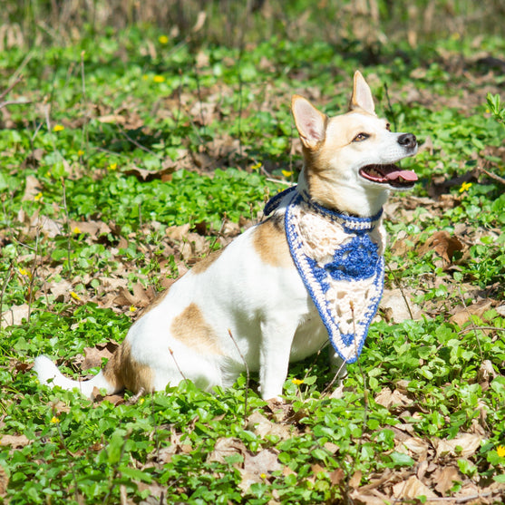 Gina - Bandana voor hond
2
