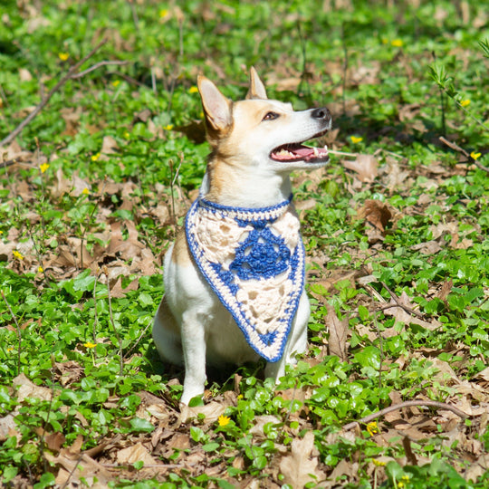 Gina - Bandana voor hond