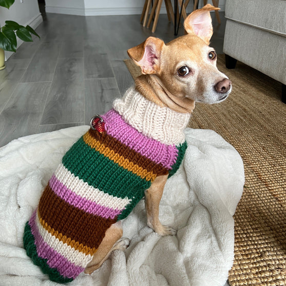 Benson - Hondentrui
2