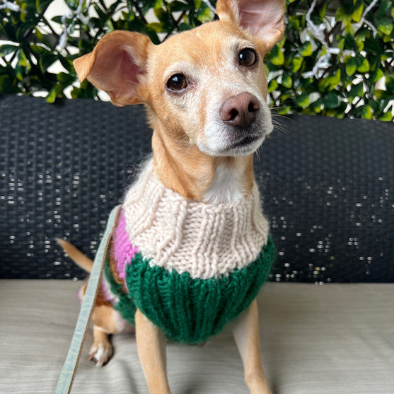 Benson - Hondentrui
3