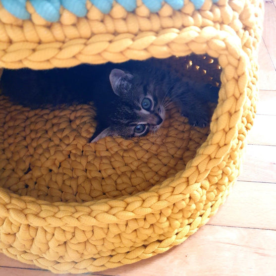 Purrfect - Kattenmand
2