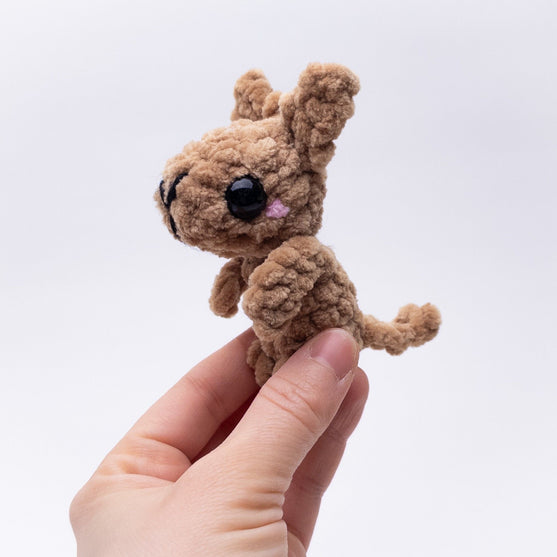 Kira & Kit de Kangoeroes
5