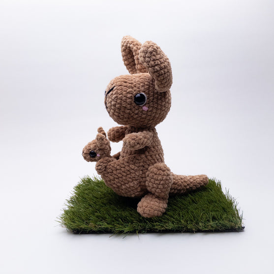 Kira & Kit de Kangoeroes
6