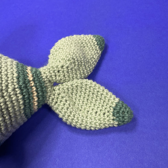 Vissen - Sterrenbeeld
5