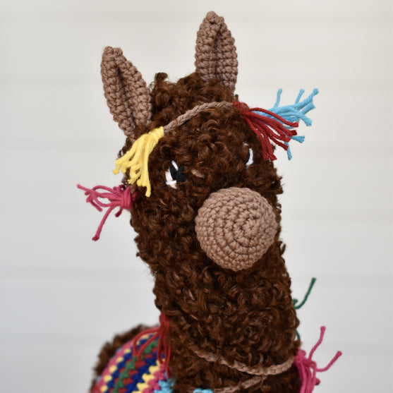 Pico Alpaca
6