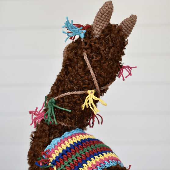 Pico Alpaca
7