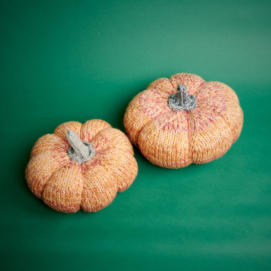 Gigantische Pompoenen
5