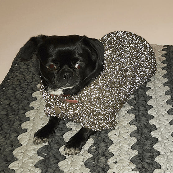 Flemming Hondensweater
2
