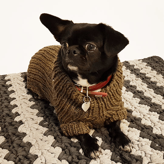 Flemming Hondensweater
