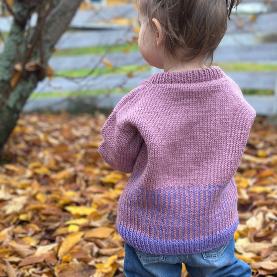 Easy Colour Mix Sweater Junior - Trui
3
