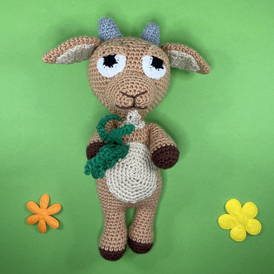 Steenbok - Sterrenbeeld
1