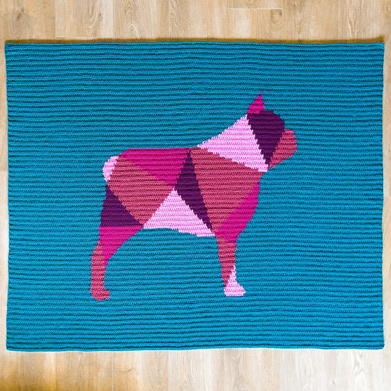 Franse Bulldog - Plaid
2