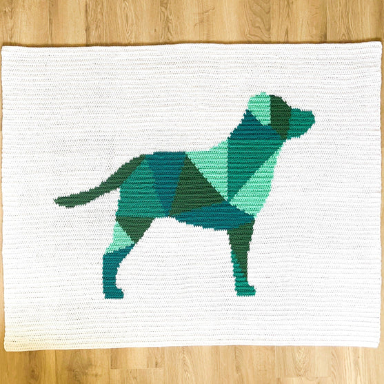 Labrador - Plaid
2