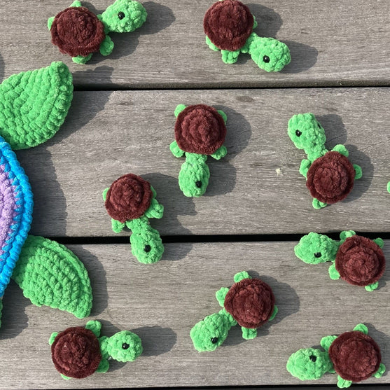 Rainbow Turtles - Memory
8