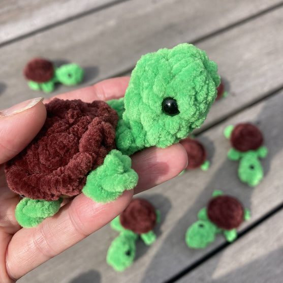 Rainbow Turtles - Memory
10