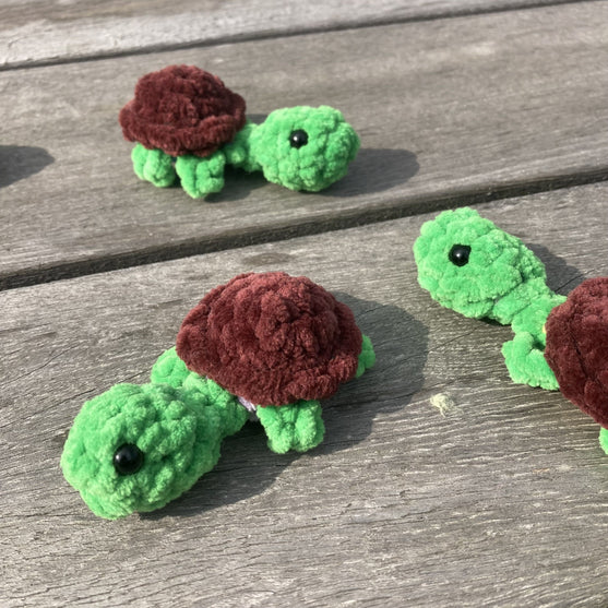 Rainbow Turtles - Memory
11