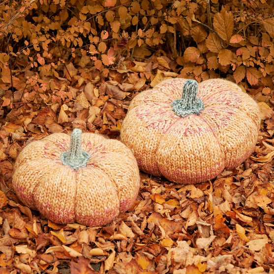 Gigantische Pompoenen
3