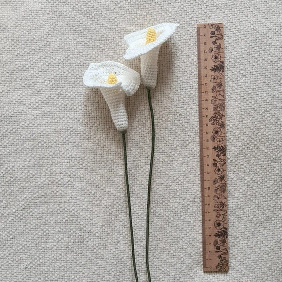 Calla Flower
2