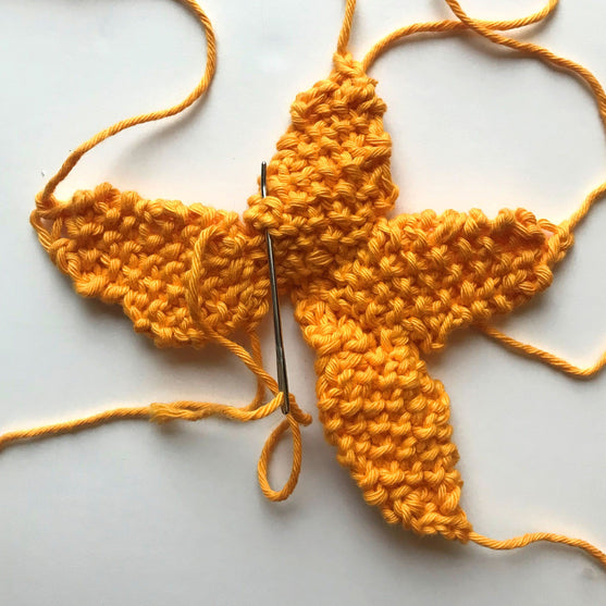 Steffy Starfish
3