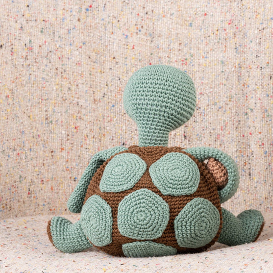 Theo de schildpad
3