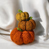 Tweedy Pumpkins
3