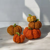 Tweedy Pumpkins
1