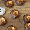 

Crystal knopen met 2 gaatjes - 18 mm - Go Handmade
9