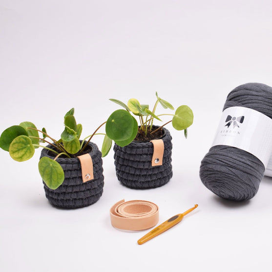 

Gehaakte Ribbon Pothoes - Klein
1