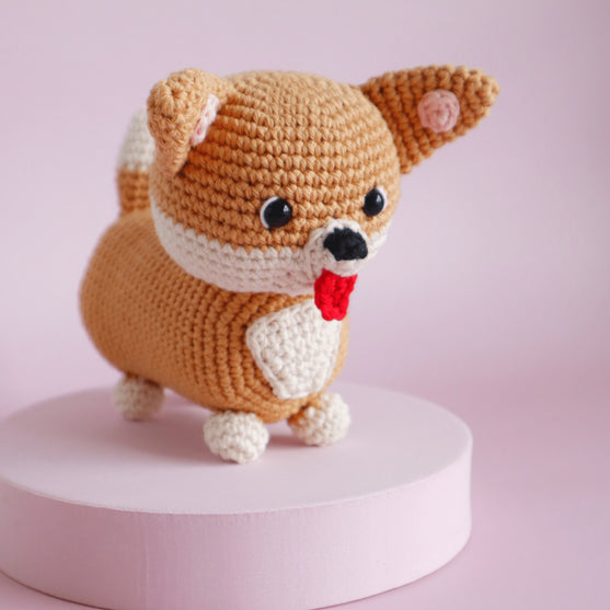 

Cooper de Corgi
1