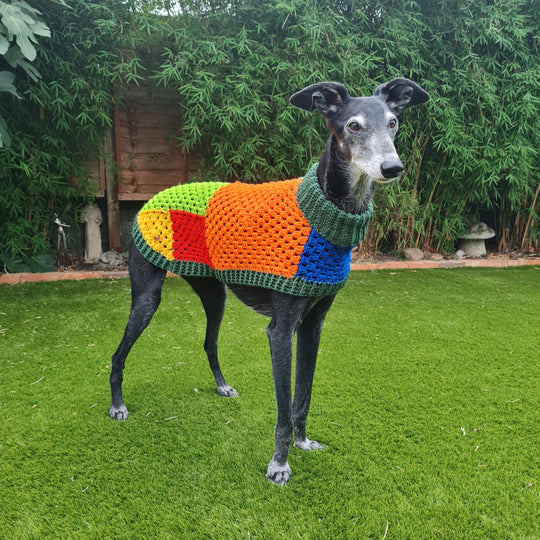 Wally - Hondentrui