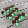 

Rainbow Turtles - Memory
12
