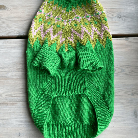 

Cocker Spaniël - Hondentrui
5