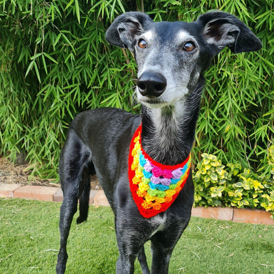 

Dandy - Bandana voor de Hond
1