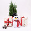 

Sneeuwpop Frosty
1