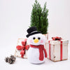 

Sneeuwpop Frosty
4