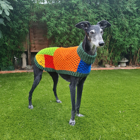 Wally - Hondentrui