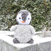 

Pippo de pinguïn
1