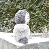 

Pippo de pinguïn
3