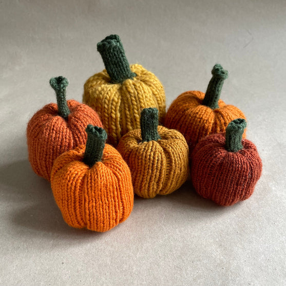 

Mini-pompoen - Kleine sierpompoenen
7